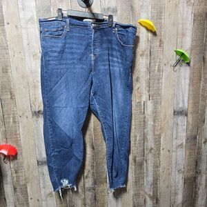 Levis Quality Premium Denim Wedgie Skinny Jeans Plus Size